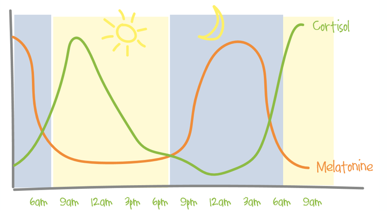 Cortisol en melatonine